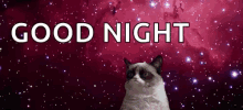 Grumpy Cat Galaxy GIF - Grumpy Cat Galaxy Goodnight GIFs