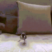 Birds Jump GIF - Birds Jump Out Of The Window GIFs