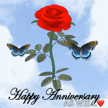 Happy Anniversary Anniversary Rose GIF
