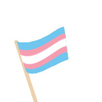 Trans Flag Transgender Sticker
