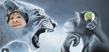 a lion and a monkey are looking at each other with a play button in the corner