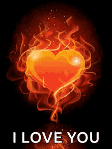 heart on fire heart love in love heart on flame