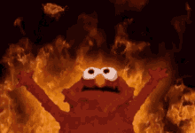 Burn It Down Elmo GIF - Burn It Down Elmo GIFs