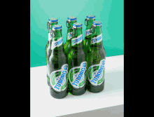 Beer 6pack GIF - Beer 6pack Tuborg GIFs