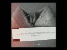 a fortune cookie with a message that says you buy based internet panda you make rich