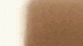 a close up of a piece of wood against a white wall