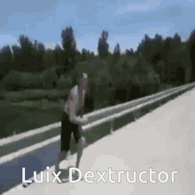 Luix Dextructor Luix GIF - Luix Dextructor Luix Plane GIFs