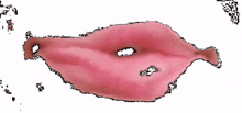 raspberry lip