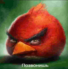 a red angry bird with a yellow beak is sitting on a green branch .