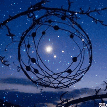a dream catcher is hanging from a tree branch with a full moon behind it