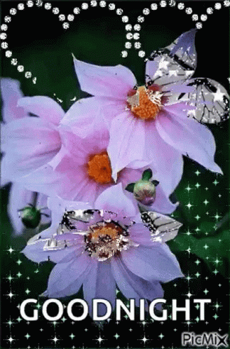 Goodnight Sparkle GIF - Goodnight Sparkle Flowers - Discover & Share GIFs