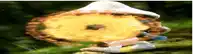 a frog is wearing a hat and holding a pineapple pie in its mouth .