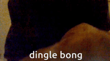 Bingle Dong Dingle Bong GIF - Bingle Dong Dingle Bong Le Dog GIFs