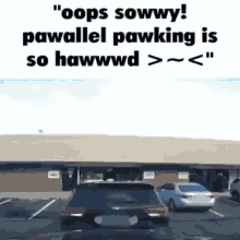 Parallel Parking Uwu GIF - Parallel Parking Uwu Sowwy GIFs
