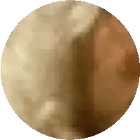 a close up of a circle with a few lines on it
