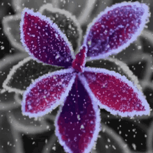 Flower Snow GIF - Flower Snow Winter GIFs