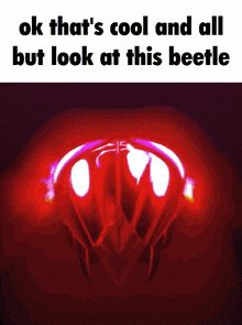 a picture of a beetle with the words ok that 's cool and all but look at this beetle below it