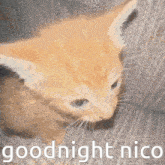 Sakilovesyou Goodnight Nico GIF - Sakilovesyou Goodnight Nico GIFs