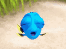 Dory Nemo GIF - Dory Nemo Finding GIFs