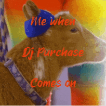 Dj Purchase What Goat GIF - Dj Purchase What Goat Get Goated GIFs