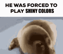 Shiny Colors He Was Forced To GIF - Shiny Colors He Was Forced To Play GIFs