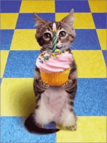 Happy Birthday Hbd GIF - Happy Birthday Hbd Birthday Cupcake GIFs
