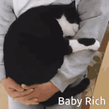 Hug My Rich GIF