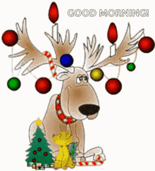 Good Morning GIF - Good Morning Christmas GIFs