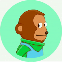 awkward monkey awkward monkey coin meme coin awkwardmonkey monkey