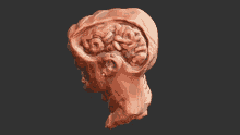 Brain Head GIF - Brain Head Zbrushcore GIFs