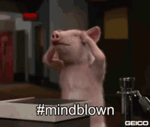 Pig Mindblown GIF - Pig Mindblown GIFs