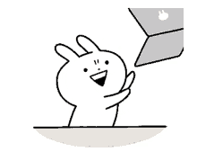 laptop bunny