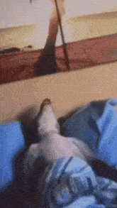 Dog Snoring GIF - Dog Snoring Sleeping GIFs
