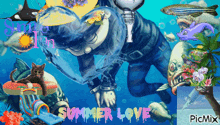 Ryoma Hoshi Hot Girl Summer GIF - Ryoma Hoshi Hot Girl Summer Fish GIFs