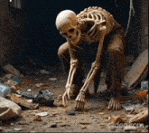 a skeleton is bending over to pick up something