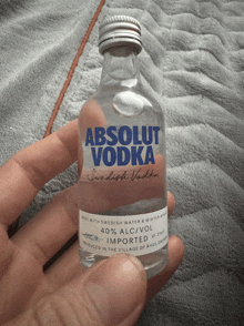 someone is holding a small bottle of absolut vodka in their hand