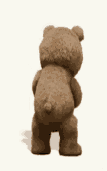 Bear Ted GIF - Bear Ted Shaking GIFs