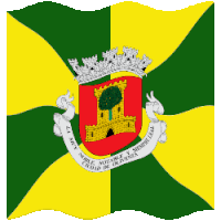 a green and yellow flag with a coat of arms in the center