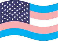 a pink and blue flag with white stars