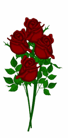 b%C3%B6be giffjei four red roses