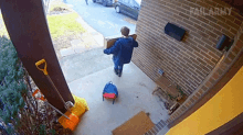 Carrying Box Failarmy GIF - Carrying Box Failarmy What A Mess GIFs