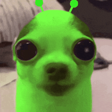 a green dog with antennas on its head