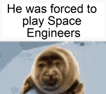 baby seal cry space engineers he was forced he was forced to play space engineers