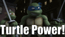 a poster of teenage mutant ninja turtles with the words turtle power below them