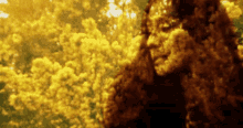 Tori Amos Star Whisperer GIF - Tori Amos Star Whisperer Noh GIFs