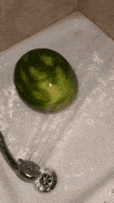 a watermelon is being sprayed in a bathtub