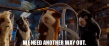 G Force Darwin GIF - G Force Darwin We Need Another Way Out GIFs