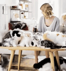 Cat Lady GIF - Cat Lady Taylor Swift Cats GIFs