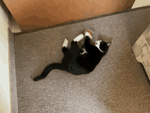 Mikey My Son GIF - Mikey My Son GIFs