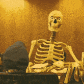 a skeleton is sitting at a desk with a hat on